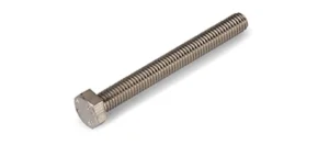 Винт M6x55